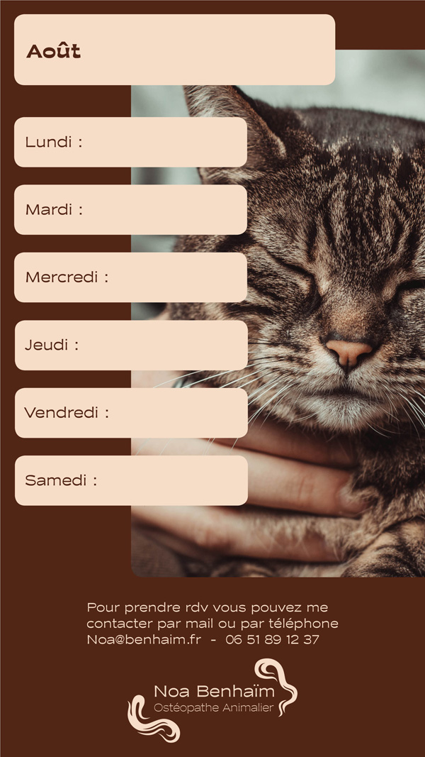 CHARTE GRAPHIQUE OSTEOPATHE PAR MANON KNASKO